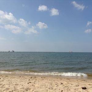 Meet your Posher, Paul